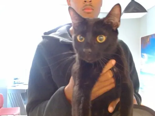LOKI