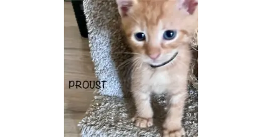 Proust