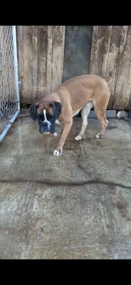 Salt: Not at the shelter