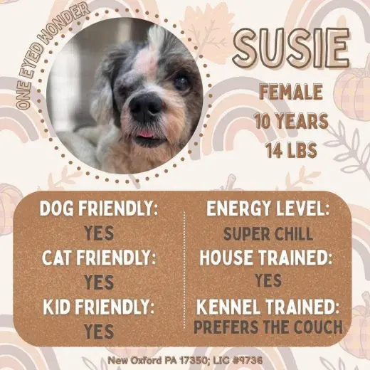 Susie