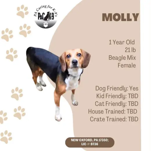Molly
