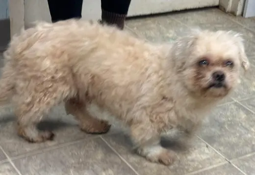 Bruno: Not at shelter
