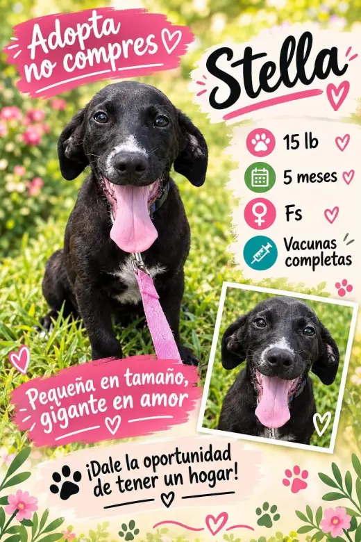 Stella