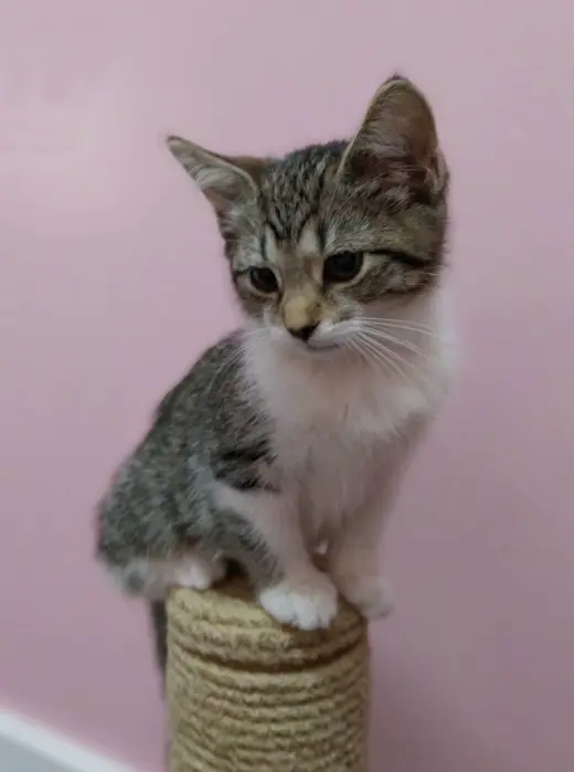 Sabrina * IN FOSTER *