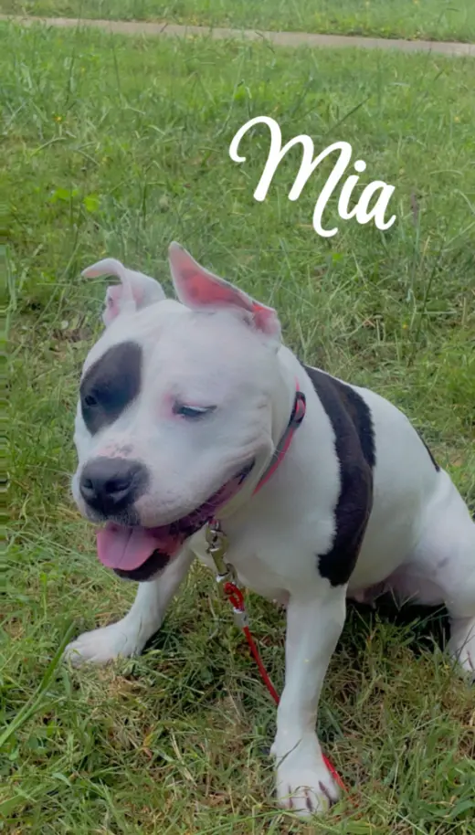 Mia