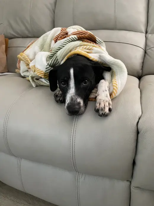 Zoey