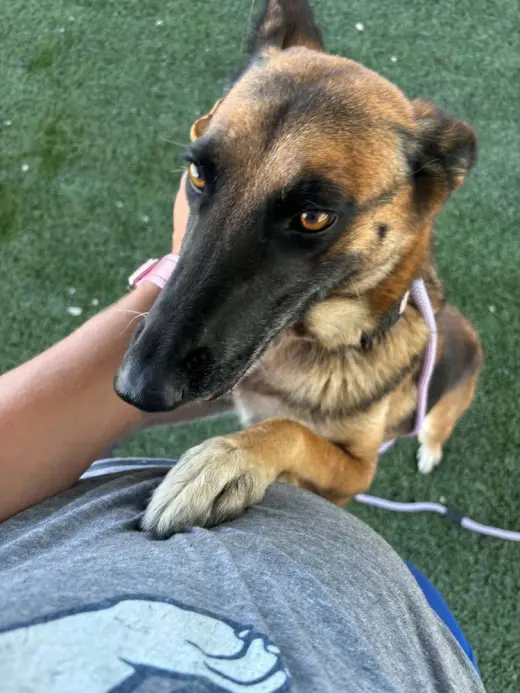 Sabrina in California