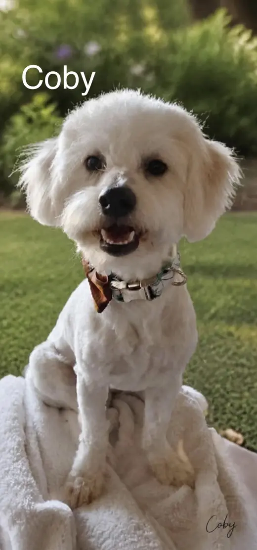 Coby