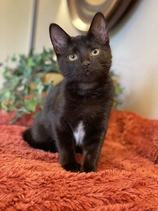 Tucker