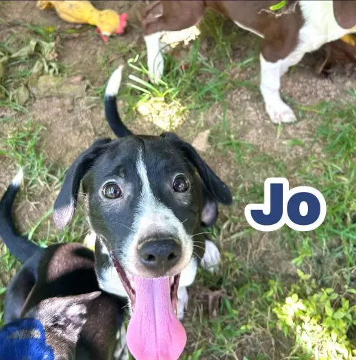Jo ~ meet me!