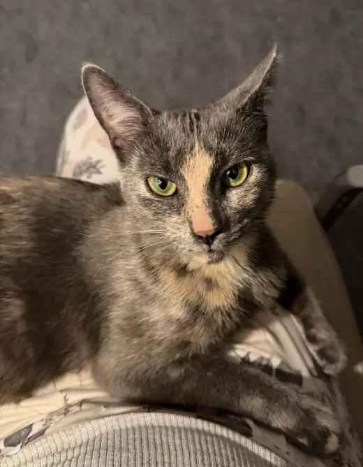 Luna Grace