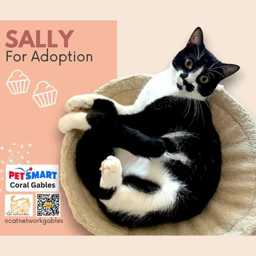 Sally