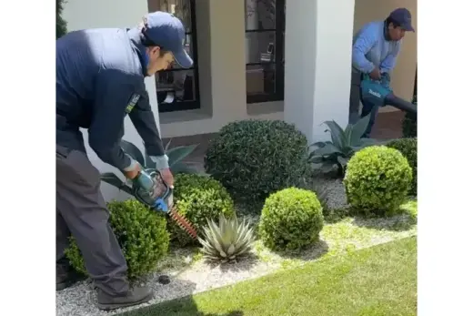 JARDINERÍA Y LANDSCAPING