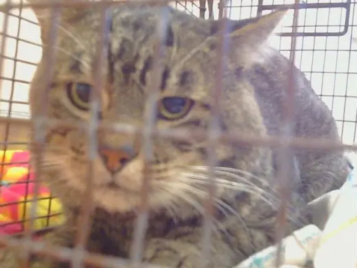 A930909