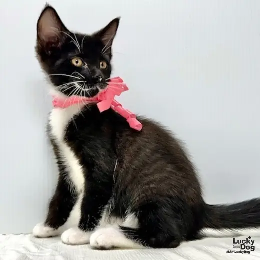 Winnie