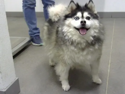 LUNA