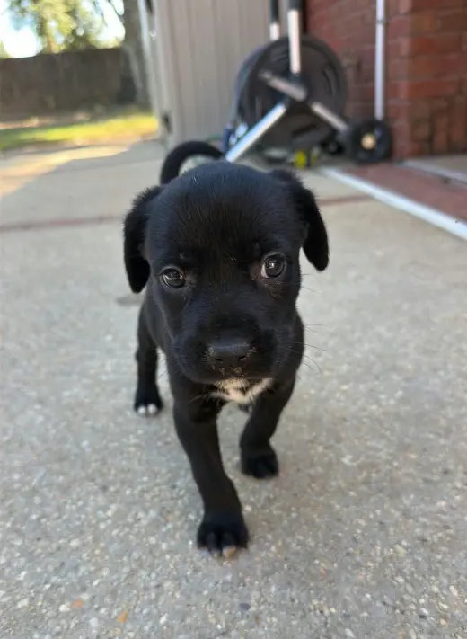 Gloria (NY-Sarah)