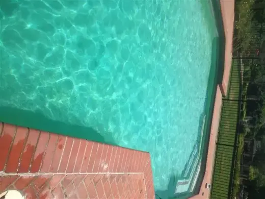 Limpieza de Albercas