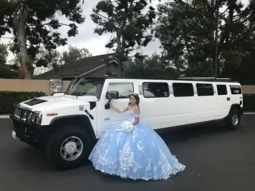 Party bus y Limousine