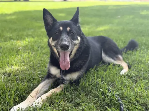 MIKA
