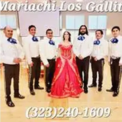 Mariachi Los Gallitos