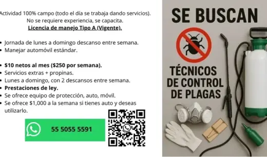 Tecnico en fumigación
