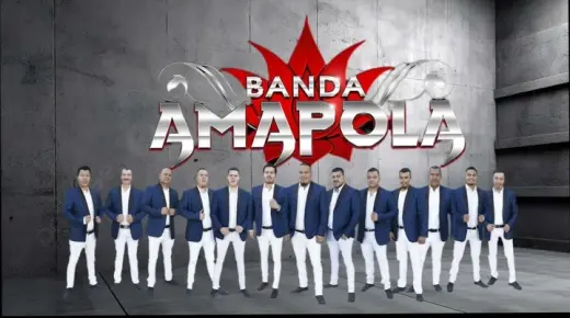 Banda Amapola 323 303 8484