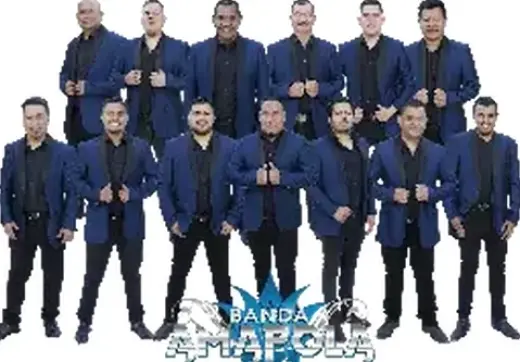 Banda Amapola 323 303 8484