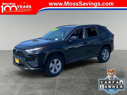 Toyota RAV4 Hybrid 2024 AWD LE 4dr SUV