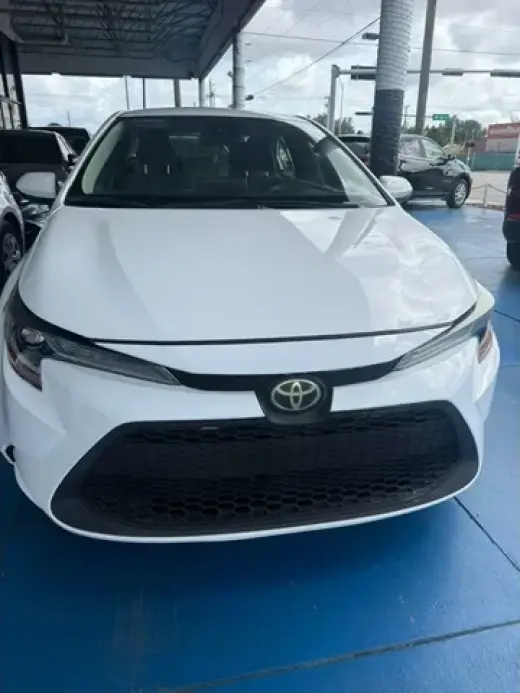 Corolla LE