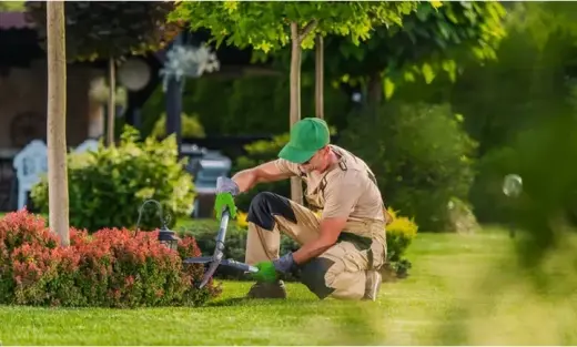 Transforma tu jardín