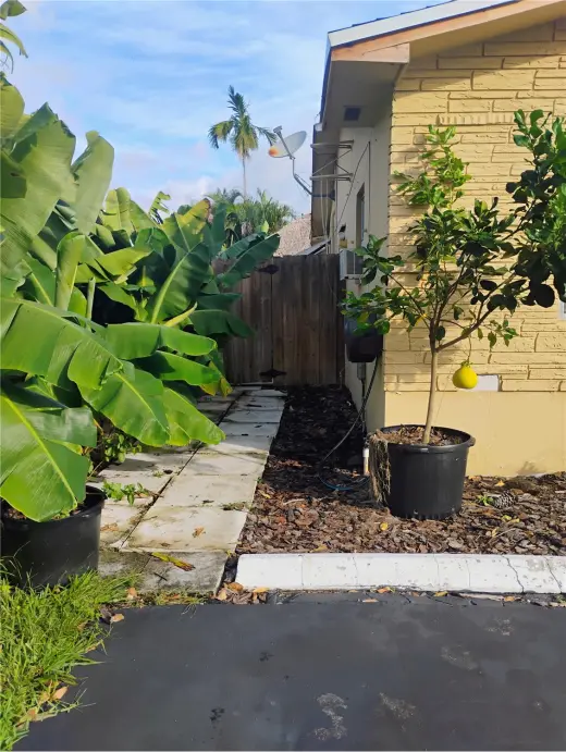 Propiedad en alquiler con 1 dormitorio y 1 baño en Hollywood