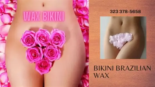 CURSO WAX CON  CERTIFICACION