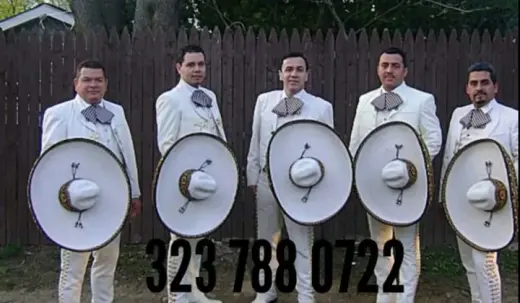 MARIACHI DE CALIDAD $260