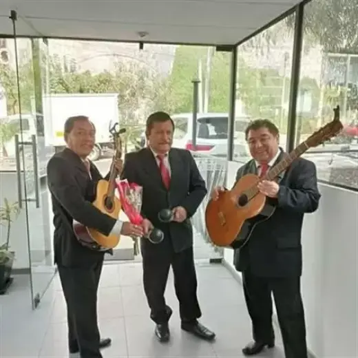 Trio Criollo y Romantico