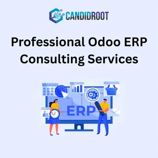 Professional Odoo Consulting