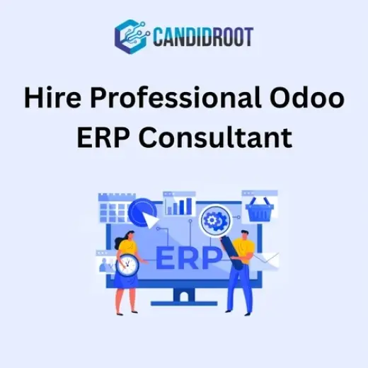 Expert Odoo ERP Consultant