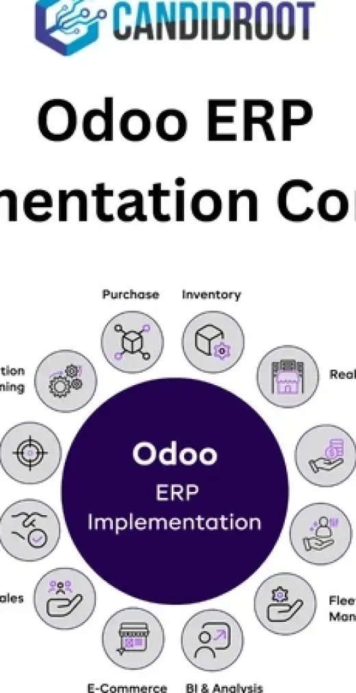 Odoo ERP implementation compan