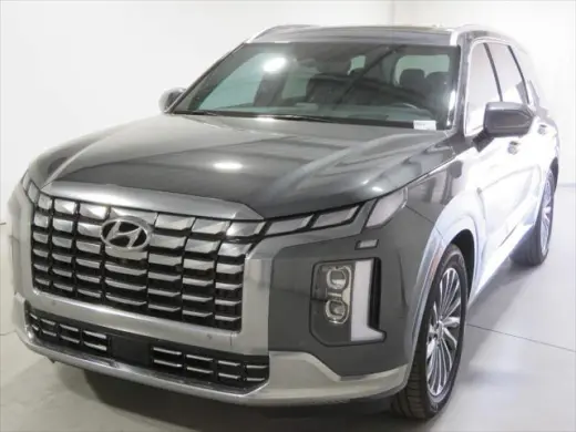 Hyundai PALISADE 2024 AWD Calligraphy 4dr SUV