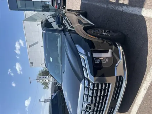 Hyundai PALISADE 2023 Calligraphy 4dr SUV
