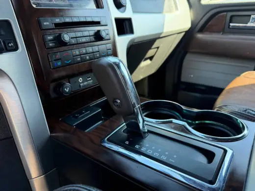 2010 Ford F-150 Platinum