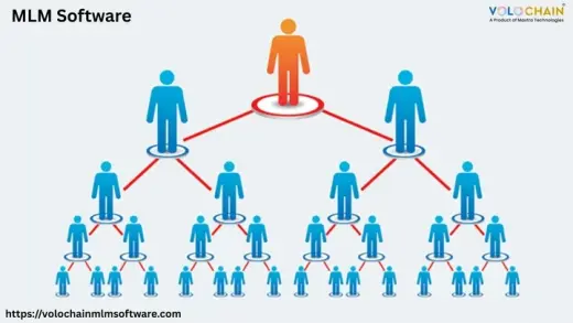 MLM Software Provider in India