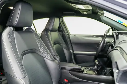 2021 Lexus UX 250h