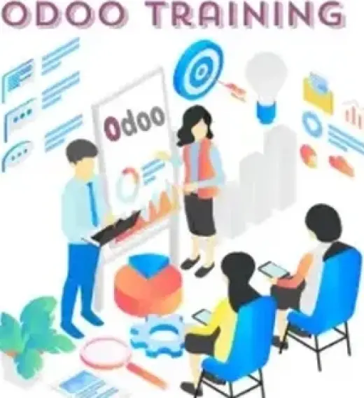 Professional Odoo ERP Training