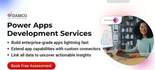 US Based Power Apps Developers