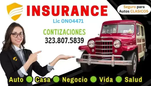 NOTARY SERVICE & SEGUROS AUTO