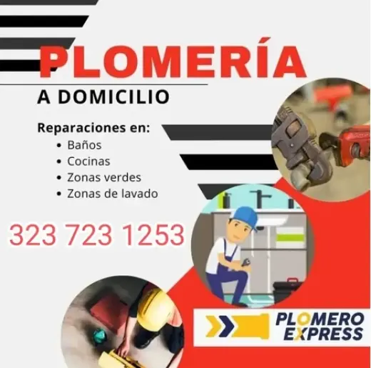 PLOMEROS 323 723 1253 EL BATAN