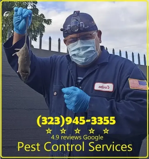 FUMIGACIONES HUNTINGTON PARK