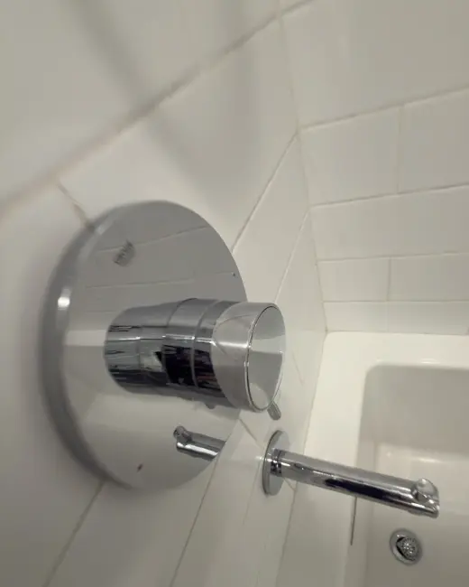 Professional Cleaning Services