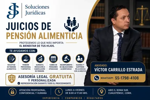 Juicio de Pensión Alimenticia - DESPACHO DE ABOGADOS EN MEXICO, Ciudad de México